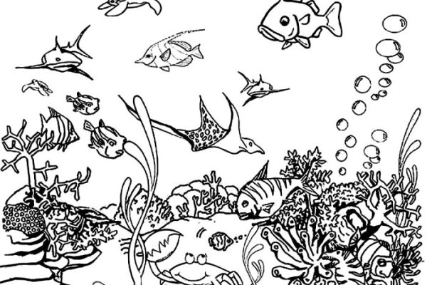 Ocean coloring book pages