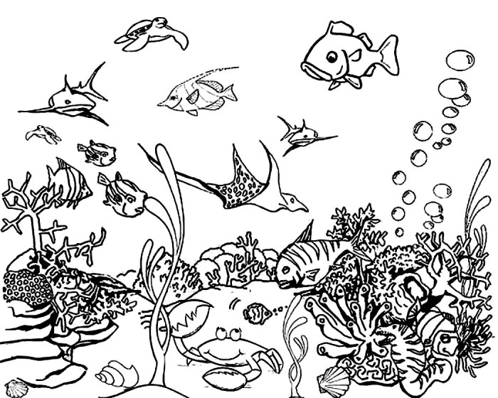 Ocean coloring book pages