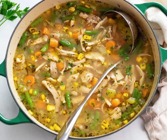 Best chicken vegetable soup recipe ever