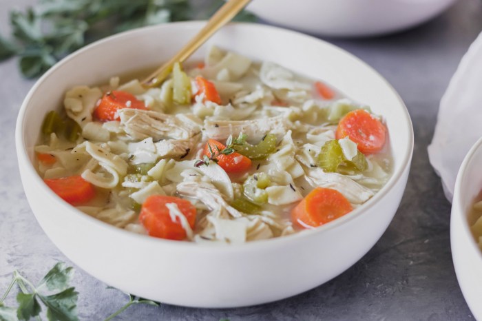 Soup chicken noodle slow cooker easy recipe