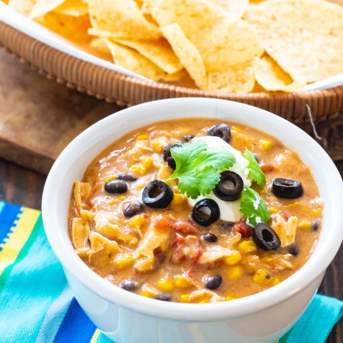 Crock pot chicken tortilla soup recipe